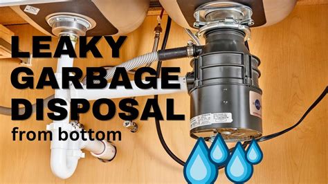 why is the bottom of my garbage disposal leaking|How to Fix a Leaking Garbage Disposal